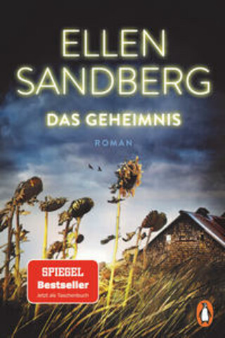 Buchcover Das Geheimnis Ellen Sandberg
