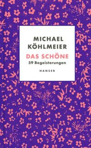 Buchcover Das Schöne Michael Köhlmeier